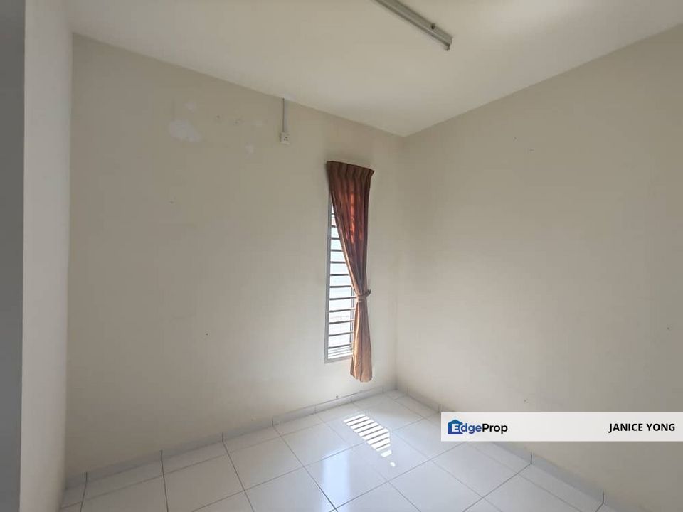 Dictyo Alba @ Setia Tropika, Johor, Setia Tropika