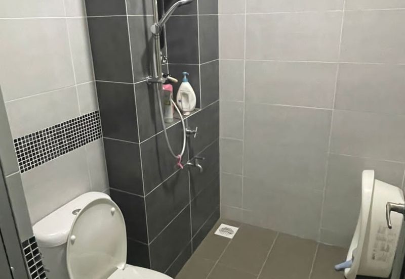 The Seed @ Sutera Utama