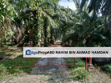 For sale 3.94 acre agriculkture land at main road Kg Kundang, Tg Sepat, Selangor, Tanjong Sepat