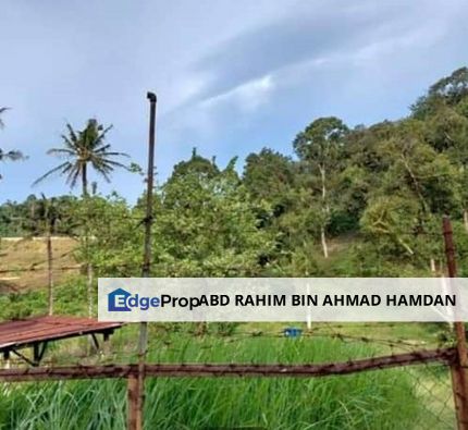 For sale 5.88 acre Durian Orchard at Dong, Raub, Pahang, Pahang, Dong