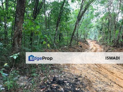 [5.9 ACRES] AGRICULTURAL LAND, SUNGAI MERAB  Location: Kampung Tengah, Sungai Merab, Selangor FOR SALE, Selangor, Kajang