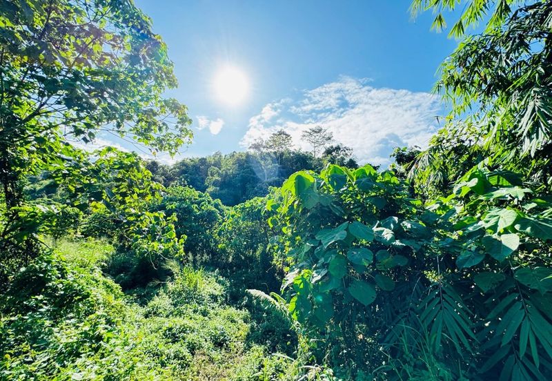 Tanah untuk dijual di sg lui 
