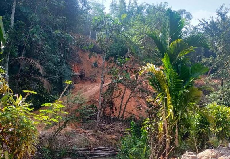 Tanah untuk dijual di kg semungkis 