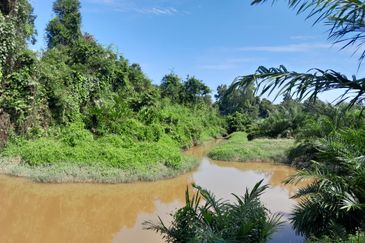 95 Acres Agricultual Land in Asahan, Tangkak, Johor for Sale