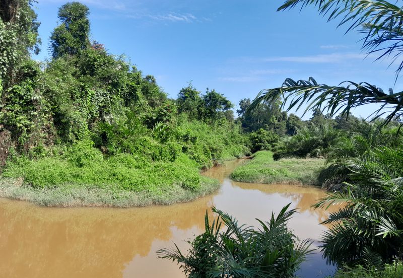 95 Acres Agricultual Land in Asahan, Tangkak, Johor for Sale