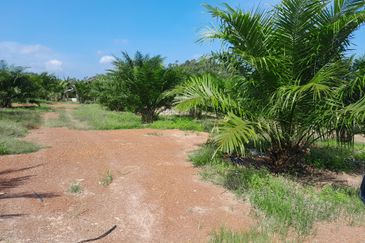 95 Acres Agricultual Land in Asahan, Tangkak, Johor for Sale