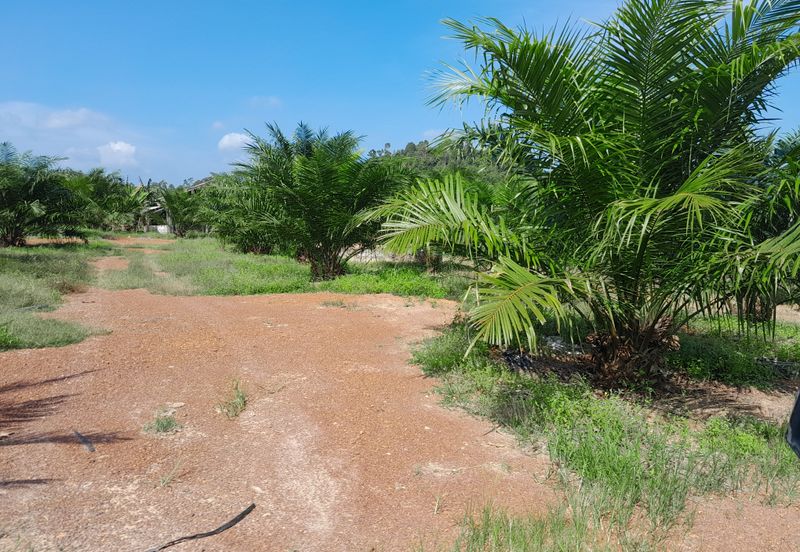 95 Acres Agricultual Land in Asahan, Tangkak, Johor for Sale