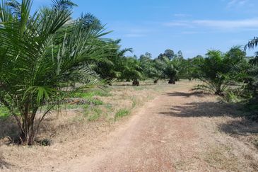 95 Acres Agricultual Land in Asahan, Tangkak, Johor for Sale