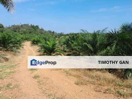 95 Acres Agricultual Land in Asahan, Tangkak, Johor for Sale, Johor, Tangkak