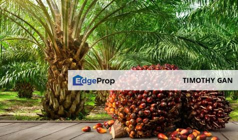 265 Acres Oil Palm Plantation @ Bahau, Negeri Sembilan for SALE, Negeri Sembilan, Bahau