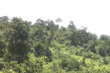 1,265 Acres Vacant Land @ Karak, Bentong for Sale