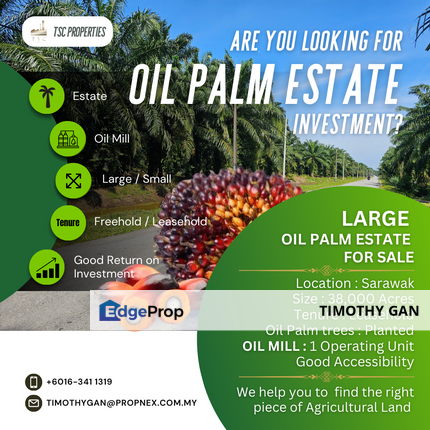 38,000 Acres Oil Palm Estate with Palm Oil Mill for SALE, Sarawak, Kuching