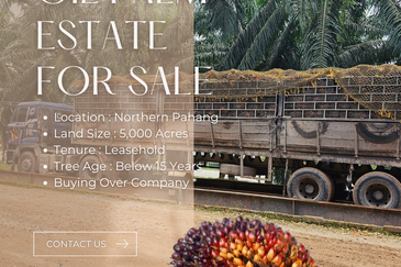 5,000 Acres Oil Palm Estate @ Pahang for SALE