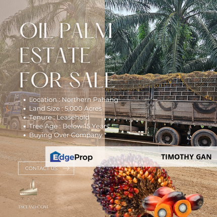 5,000 Acres Oil Palm Estate @ Pahang for SALE, Pahang, Kuala Lipis