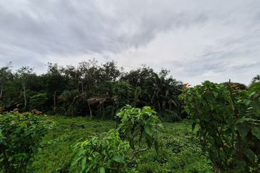 Jalan Besar, Nilai-Pajam