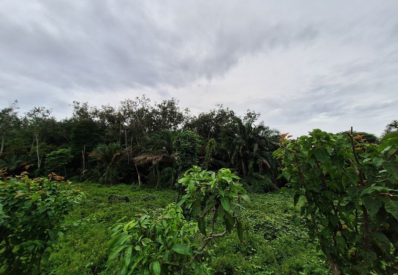 Jalan Besar, Nilai-Pajam