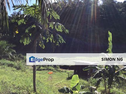 Freehold Agri land @ KKB with clear water stream., Selangor, Hulu Selangor