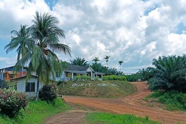 Plantation near Kuantan suitable for development 