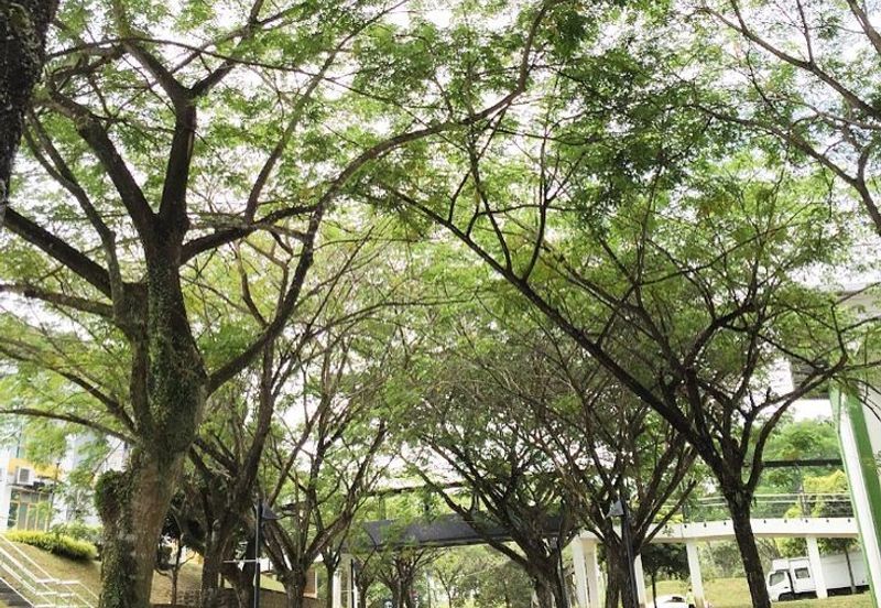 University College for sale