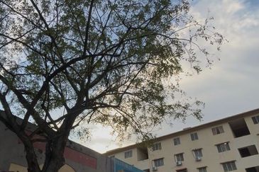 Flat PKNS, Seksyen 7