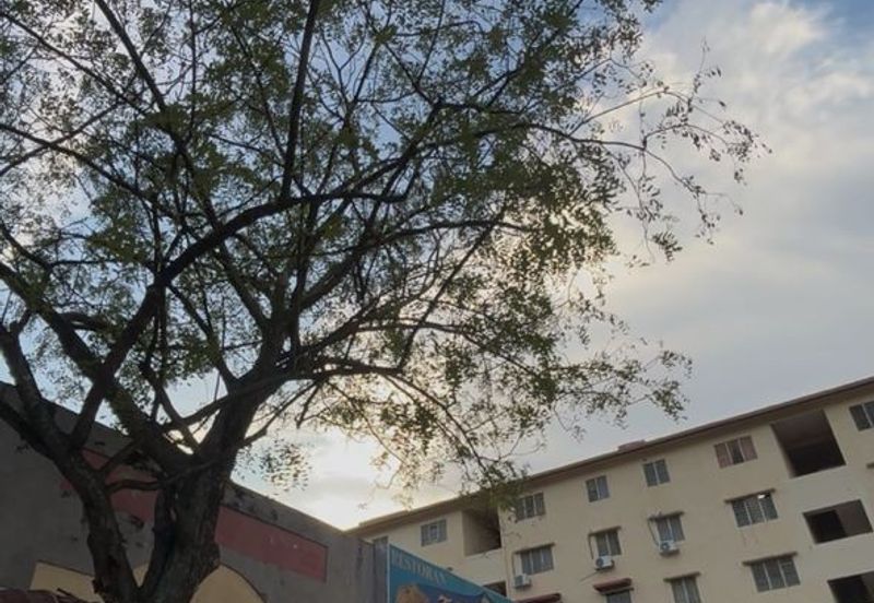 Flat PKNS, Seksyen 7