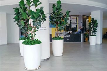 Sunsuria Forum Soho Suites