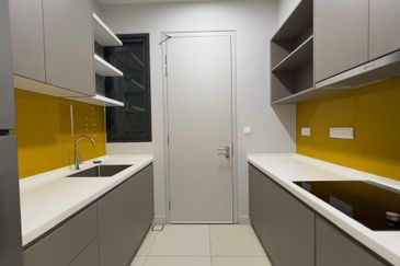 Cyperus @ Tropicana Gardens