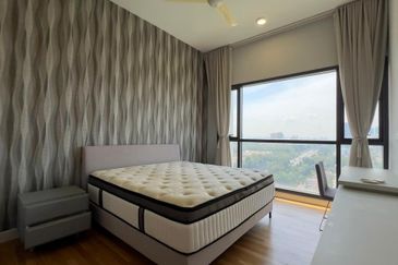 Cyperus @ Tropicana Gardens