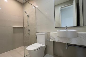 Cyperus @ Tropicana Gardens