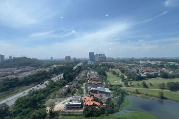 Cyperus @ Tropicana Gardens