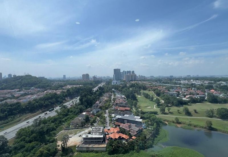 Cyperus @ Tropicana Gardens