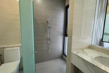 Cyperus @ Tropicana Gardens