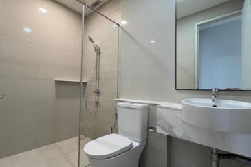 Cyperus @ Tropicana Gardens