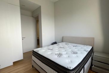 Cyperus @ Tropicana Gardens