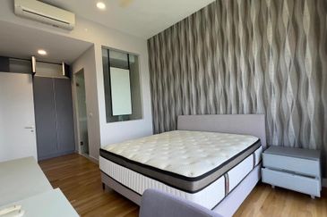 Cyperus @ Tropicana Gardens