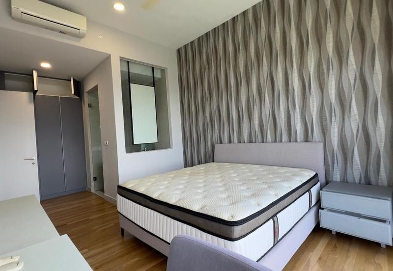 Cyperus @ Tropicana Gardens