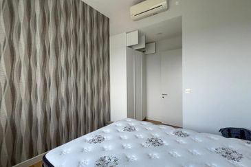 Cyperus @ Tropicana Gardens