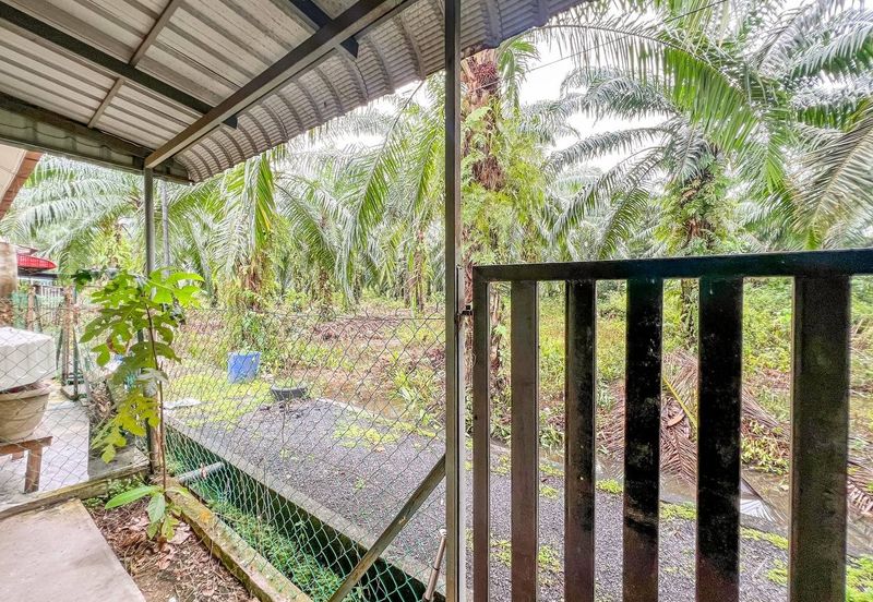 Pulau Indah ( Pulau Lumut )