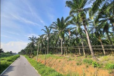 Bandar Baru Salak Tinggi