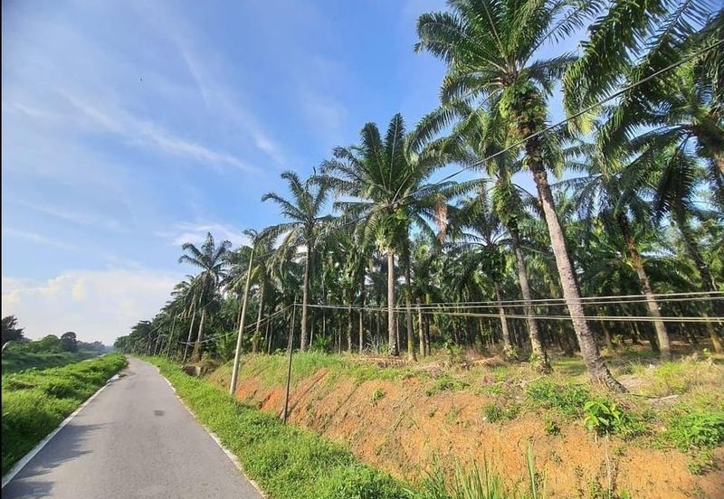 Bandar Baru Salak Tinggi