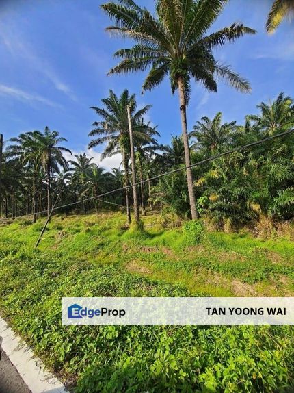 Agriculture Land @ Kg. Lembah Paya, Salak Tinggi For Sale, Selangor, Sepang