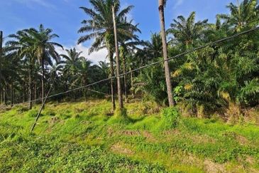 Bandar Baru Salak Tinggi