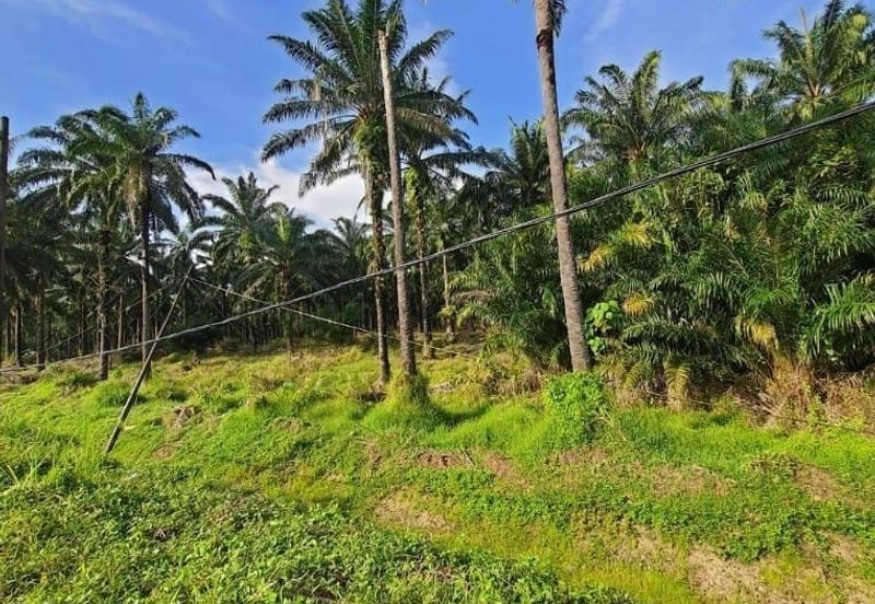 Bandar Baru Salak Tinggi