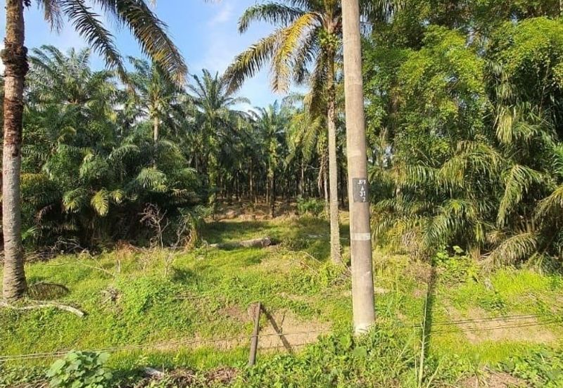 Bandar Baru Salak Tinggi