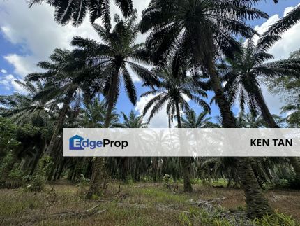 Jenjarom 3 Acre Algriculture Land ( under Industrial Zoning ) for Sale, Selangor, Jenjarom