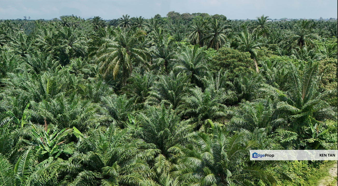 Jenjarom @ Klang , Telok Panglima Garanfg, 3 Acre Algriculture Land ( under Industrial Zoning ) for Sale, Selangor, Jenjarom