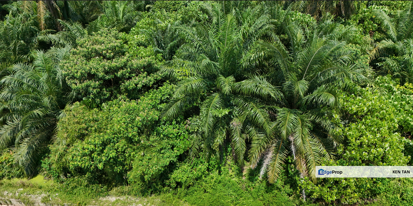 Jenjarom @ Klang , Telok Panglima Garanfg, 3 Acre Algriculture Land ( under Industrial Zoning ) for Sale, Selangor, Jenjarom