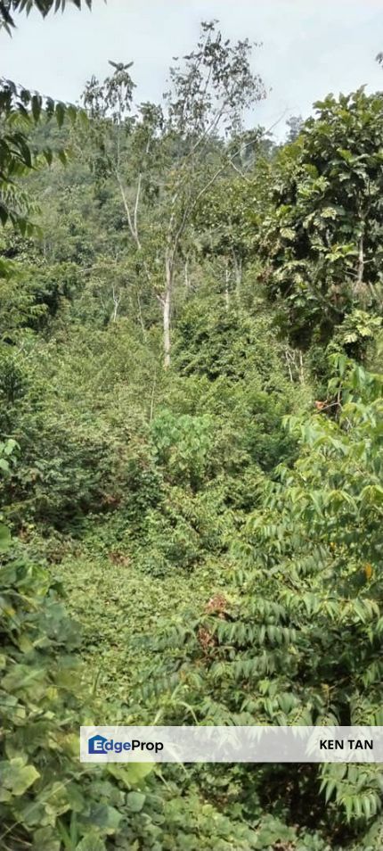 Raub Kampung Baharu Teras Agriculture Land for Sale, Pahang, Sega