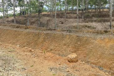 TANAH KEBUN GETAH SEMPADAN BENTONG - N9