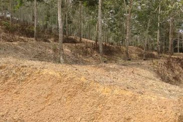 TANAH KEBUN GETAH SEMPADAN BENTONG - N9